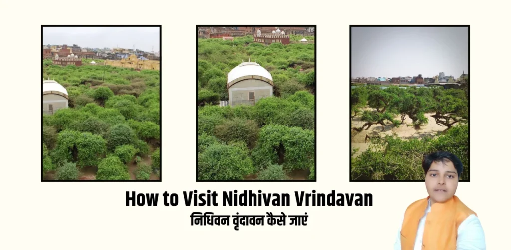 How to Visit Nidhivan Vrindavan