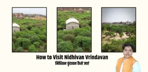 How to Visit Nidhivan Vrindavan